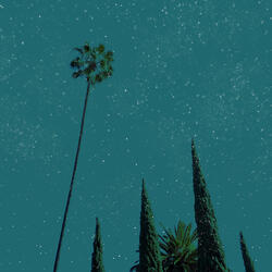 Skyline Dreams