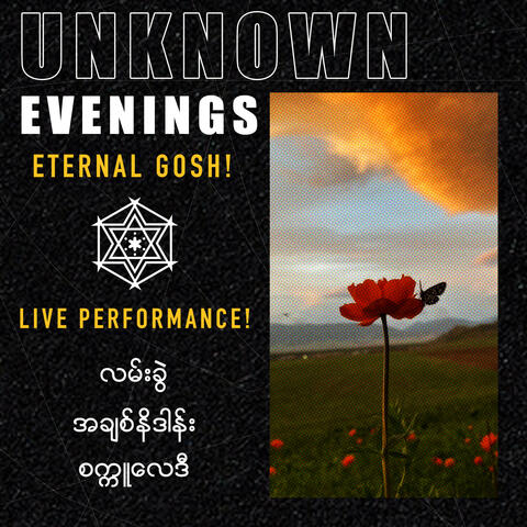 Unknown Evening