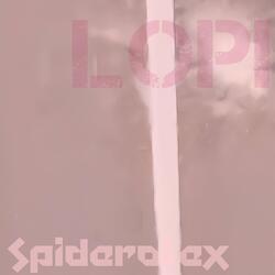 SPIDEROLEX