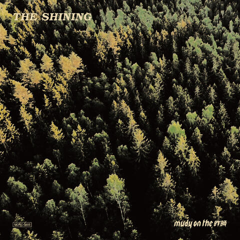 THE SHINING