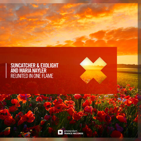 Suncatcher
