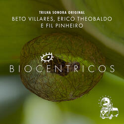 Voo Dos Irmãos (From "Biocentrics")