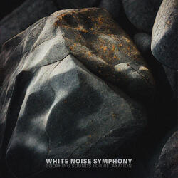 Mindful White Noise