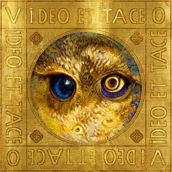 Video Et Taceo
