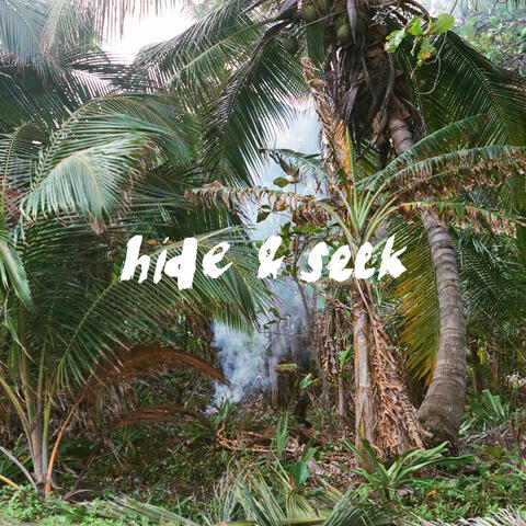 Hide & Seek