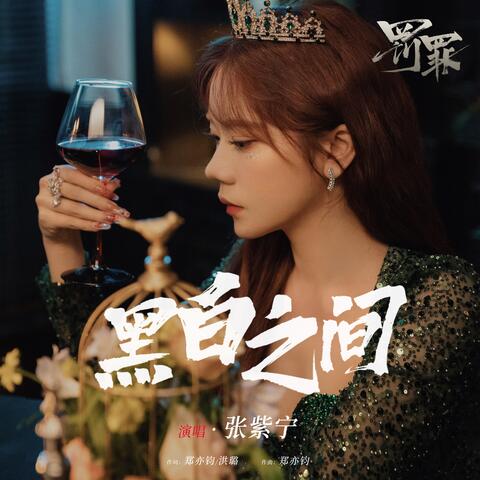 黑白之間 (影視劇《罰罪》推廣曲)