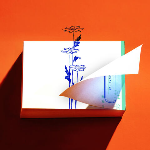 明年