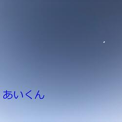 Toys and Butterflies