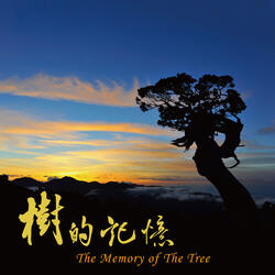The Memory of the Tree
