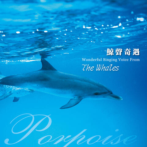 Wonderful Singing Voice from the Whales