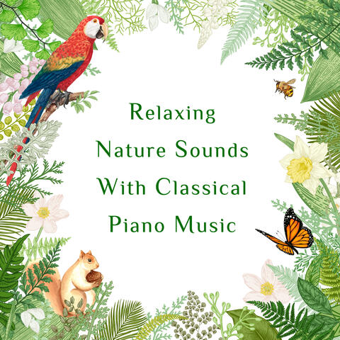 Relaxing Nature Sounds With Classical Piano Music