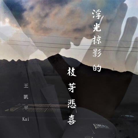 浮光掠影的枝芽悲喜
