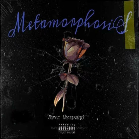 Metamorphosis