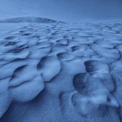 From Dining to Death