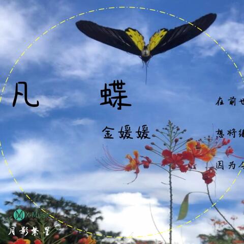 凡蝶