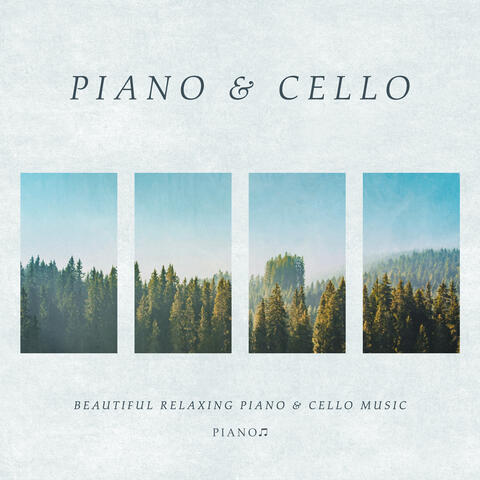 Beautiful Relaxing Piano & Cello Music