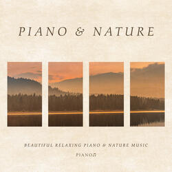 Meditation Piano