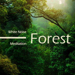 White Noise: Decompression (Ethereal)