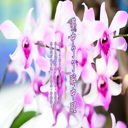 自有幽香夢裡通 (加長版)