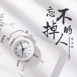 忘不掉的人 (伴奏版)