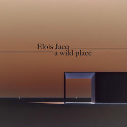 a wild place