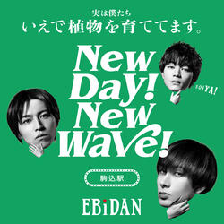 New day! New wave!