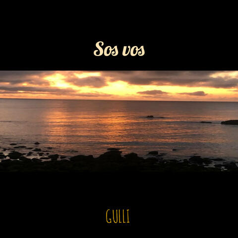 Sos Vos