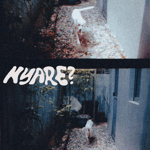 Nyare?