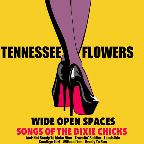 Wide Open Spaces: Songs of the Dixie Chicks