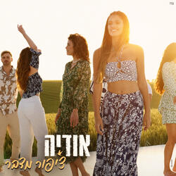 ציפור מדבר
