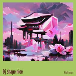 Dj Shape Nice