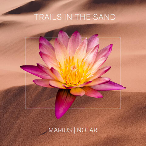 Trails In The Sand