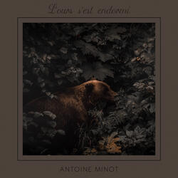 L'ours s'est endormi