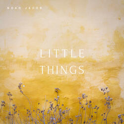 Little Things
