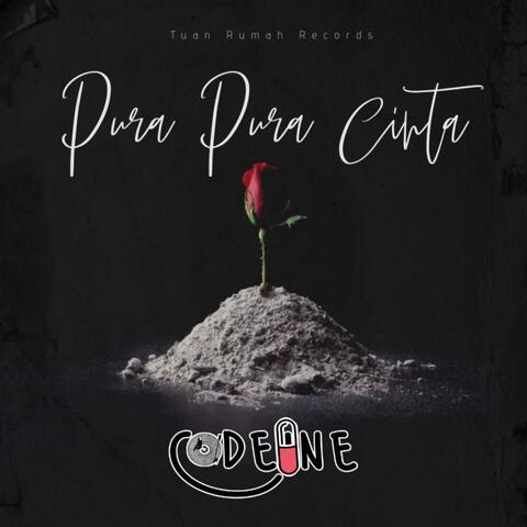Pura pura cinta