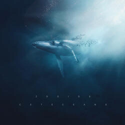 Cetaceans