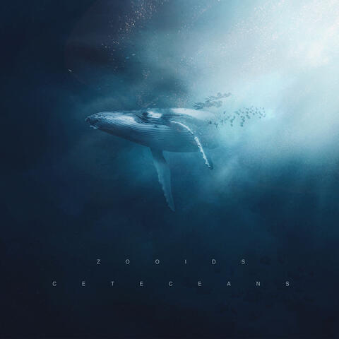 Cetaceans