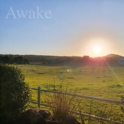 Awake