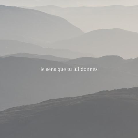 Le Sens Que Tu Lui Donnes