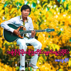 Pitauk Pwint Tine Lwan