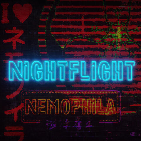 Night Flight