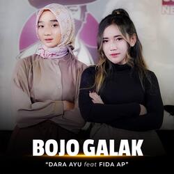 Bojo Galak
