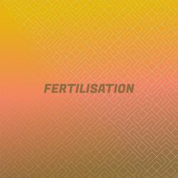 Hillcrest Justifiable