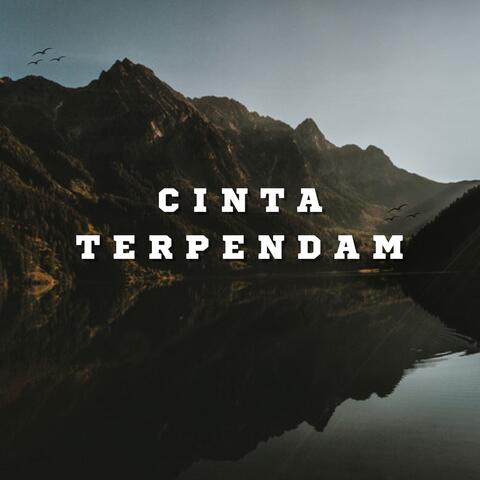 Cinta Terpendam