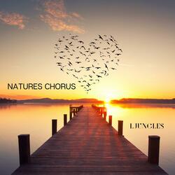 Natures Chorus