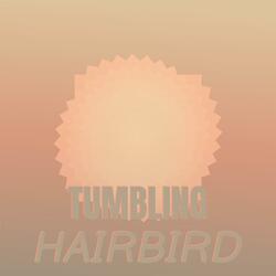 Recommended Loosestrife