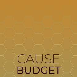 Cause Budget