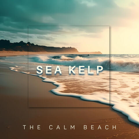 The Calm Beach