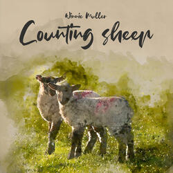 Counting Sheep