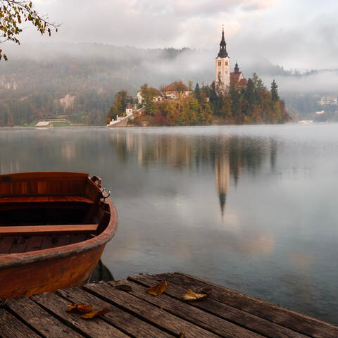 Fairy Tale